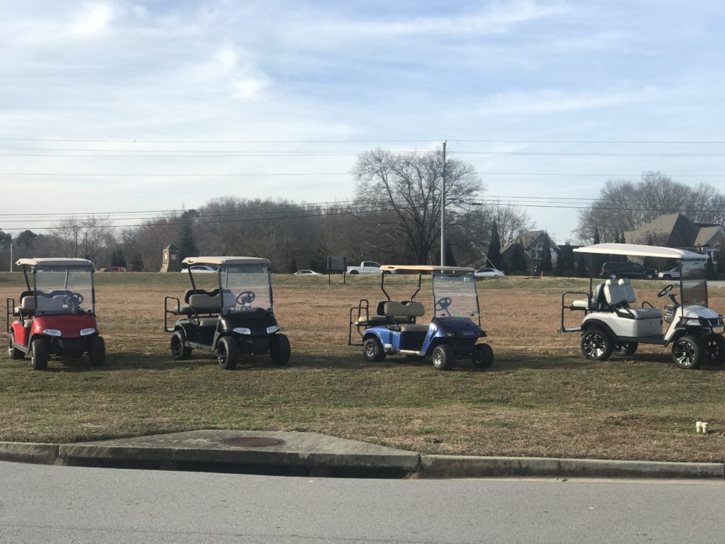 Rental golf cart fleet